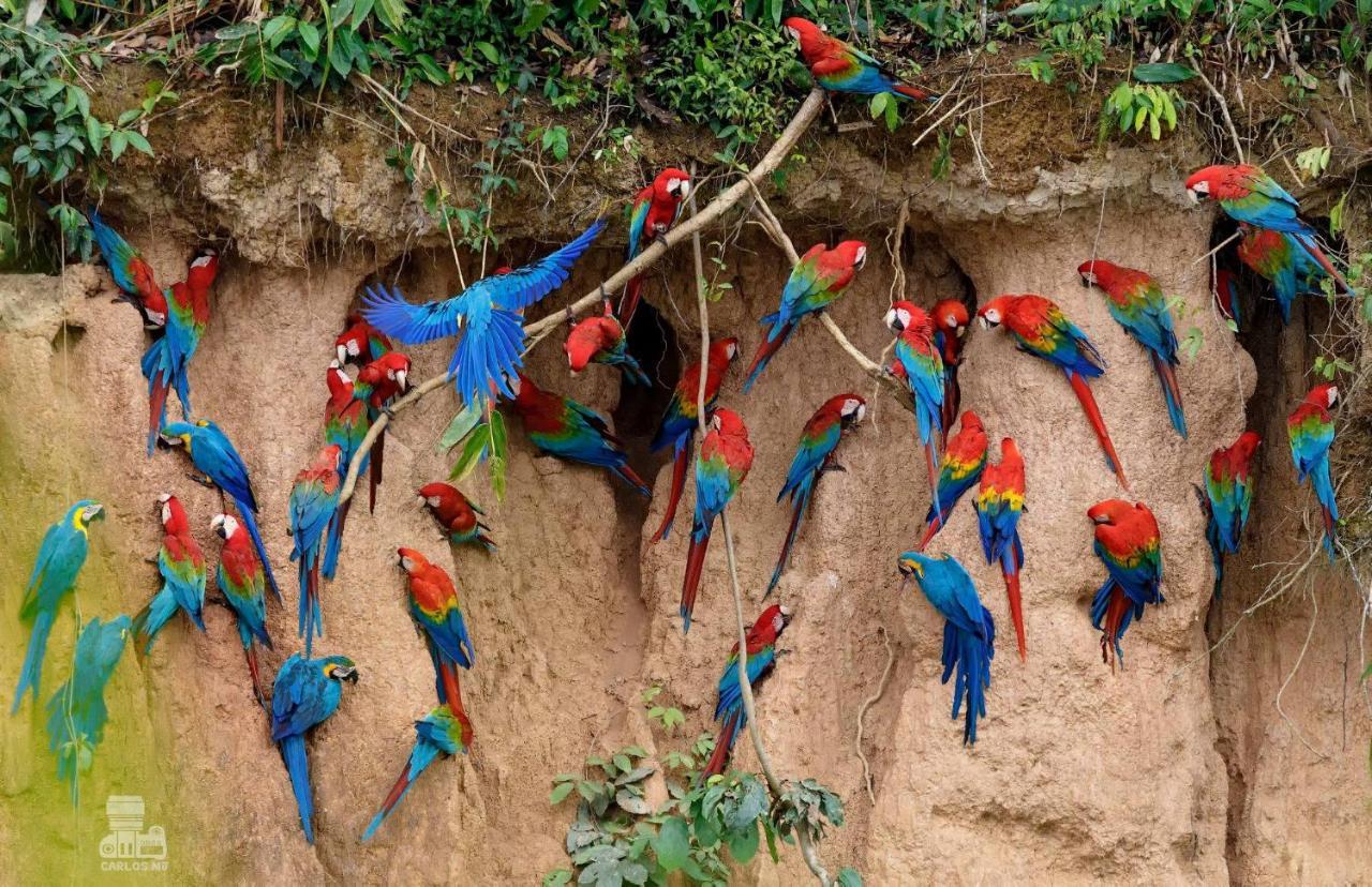 Monte Amazonico Lodge Tambopata 外观 照片